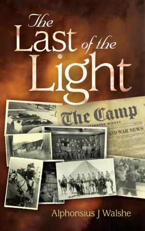Cover of the book The Last of the Light by Eric Wilson