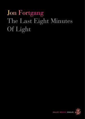 Cover of the book The Last Eight Minutes Of Light by Toby Litt