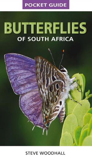 Book cover of Pocket Guide Butterflies of South Africa