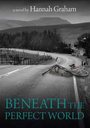 Book cover of Beneath the Perfect World