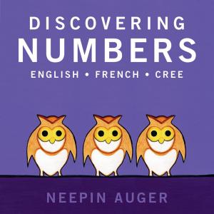 Cover of the book Discovering Numbers by Cintia Roman-Garbelotto