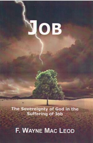 bigCover of the book Job by 