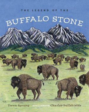 Cover of the book The Legend of the Buffalo Stone by Kathryn Bridge, Kevin Neary
