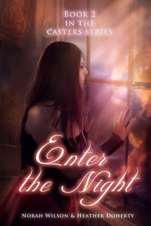 Book cover of Enter the Night