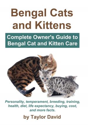 Book cover of Bengal Cats and Kittens