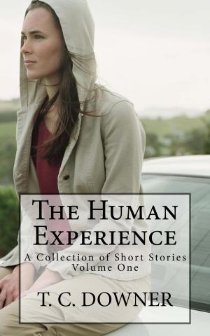 Cover of the book The Human Experience by Zen Cho
