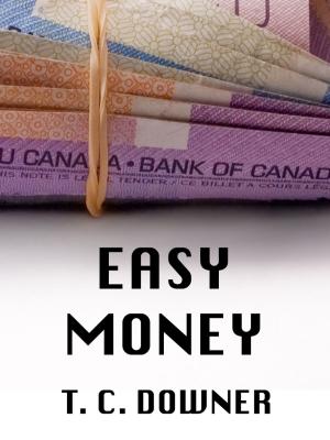 Cover of the book Easy Money by Shanna Swendson