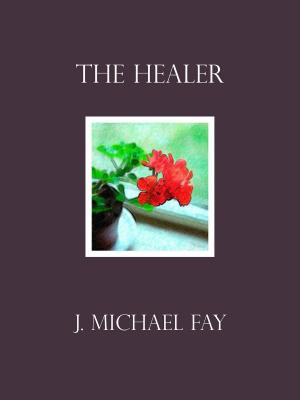 Book cover of The Healer