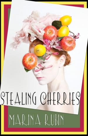 Cover of the book Stealing Cherries by Maw Shein Win