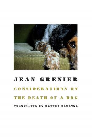 Cover of the book Considerations on the Death of a Dog by Gwen Moore, Pat Britt