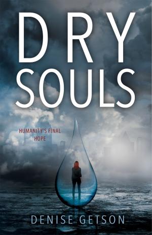 Book cover of Dry Souls