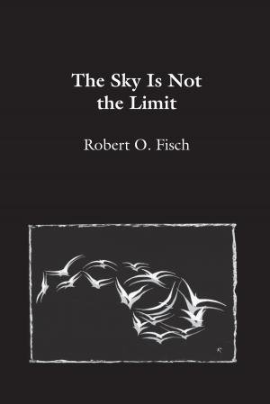 bigCover of the book The Sky Is Not the Limit by 