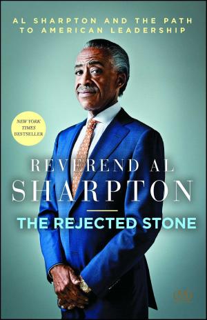 Cover of The Rejected Stone
