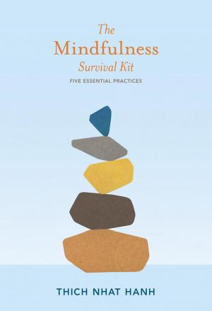 Book cover of The Mindfulness Survival Kit