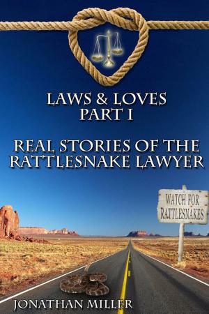 Cover of the book Laws & Loves by Jamie Smolen