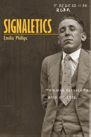 Book cover of Signaletics