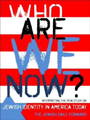 Cover of Who Are We Now?