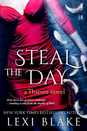 Book cover of Steal the Day, Thieves, Book 2
