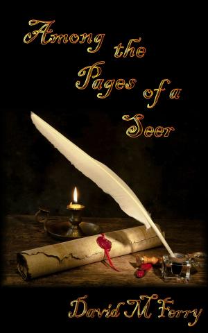Cover of the book Among the Pages of a Seer by Amanda Lee