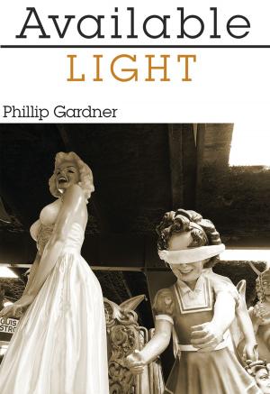 Cover of the book Available Light by Sue Hallgarth