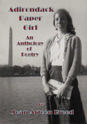Cover of the book Adirondack Paper Girl by Antoinette Ratliff