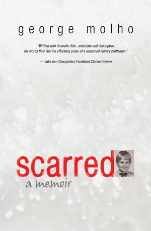 Cover of the book Scarred by Arnold Schuchter