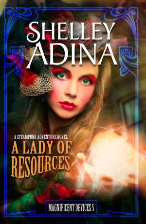 Cover of the book A Lady of Resources by Shelley Adina, Übersetzung Jutta Entzian-Mandel