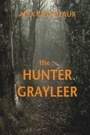 bigCover of the book The Hunter, Grayleer by 