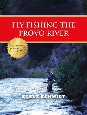 Cover of the book Fly Fishing the Provo River by Chris Lynch