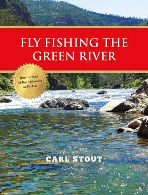 Cover of the book Fly Fishing the Green River by Mike Lawson