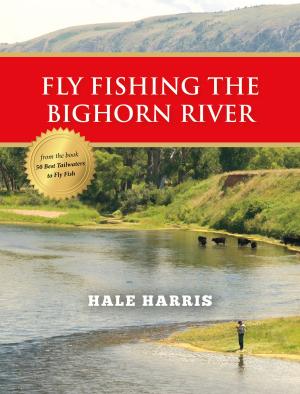Cover of the book Fly Fishing the Bighorn River by Steve Dally
