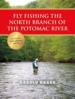 Cover of the book Fly Fishing the North Branch of the Potomac River by John Wolter
