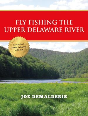 Cover of the book Fly Fishing the Upper Delaware River by Zane Grey