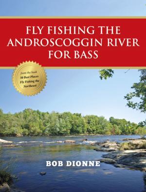 Cover of the book Fly Fishing the Androscoggin River for Bass by Avery Revere