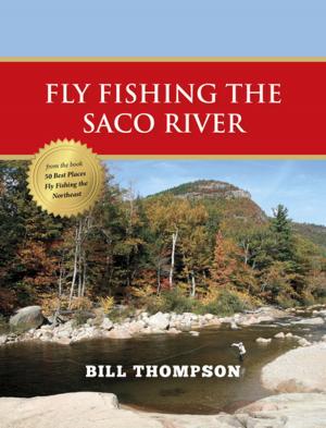 Book cover of Fly Fishing the Saco River