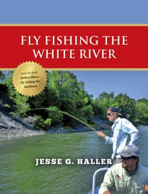 Cover of the book Fly Fishing the White River by Todd Ostenson