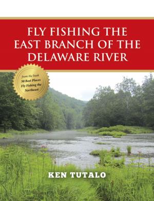 Cover of the book Fly Fishing the East Branch of the Delaware River by Terry Gunn, Wendy Gunn