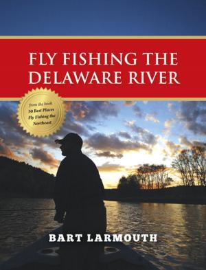 Cover of the book Fly Fishing the Delaware River by Steve Dally