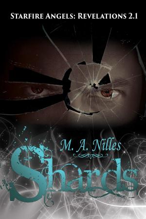 Cover of the book Shards (Starfire Angels: Revelations 2.1) by Thom Bruning