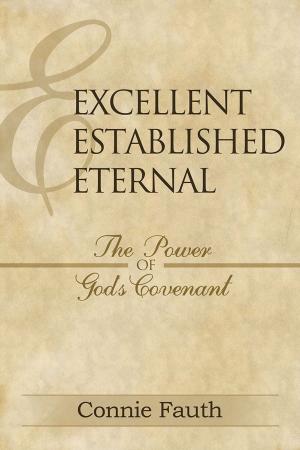 Cover of the book Excellent, Established, Eternal by Jason Van Vliet