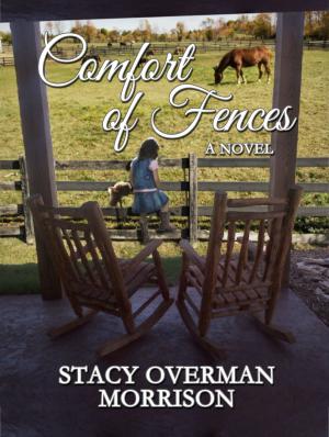 Cover of the book Comfort of Fences by Maggie Marr