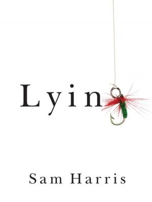 Book cover of Lying