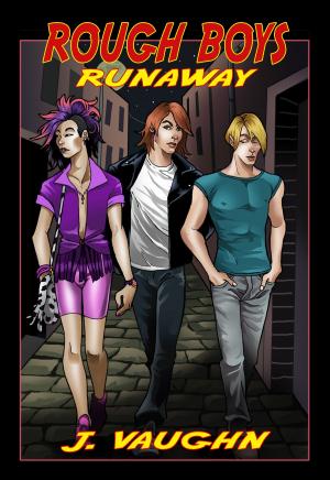 Book cover of Rough Boys: Runaway