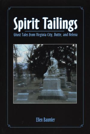 Book cover of Spirit Tailings