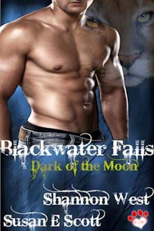 Book cover of Blackwater Falls: Dark of the Moon