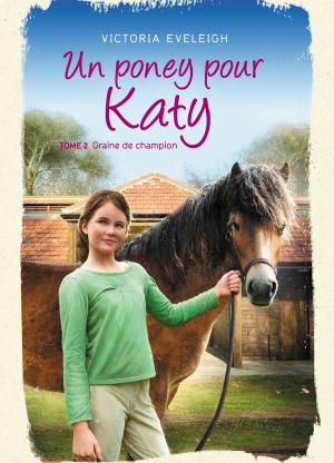 Cover of the book Un poney pour Katy - Tome 2 by Anthony Horowitz