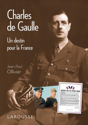 Cover of the book Charles de Gaulle by Cristina Cordula
