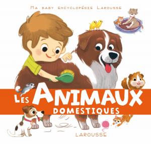 bigCover of the book Les animaux domestiques by 