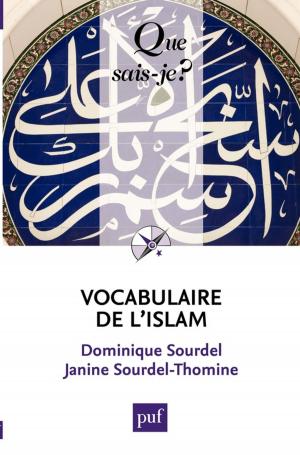 Cover of the book Vocabulaire de l'islam by Sylvain Auroux