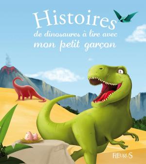 Cover of the book Histoires de dinosaures à lire avec mon petit garçon by Mayumi Jezewski